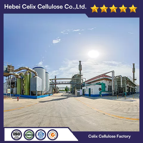 18ปี celix Factory