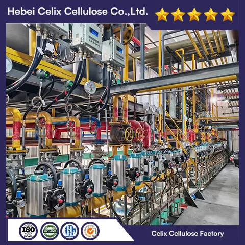 18ปี celix Factory