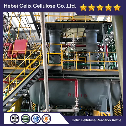 18ปี celix Factory