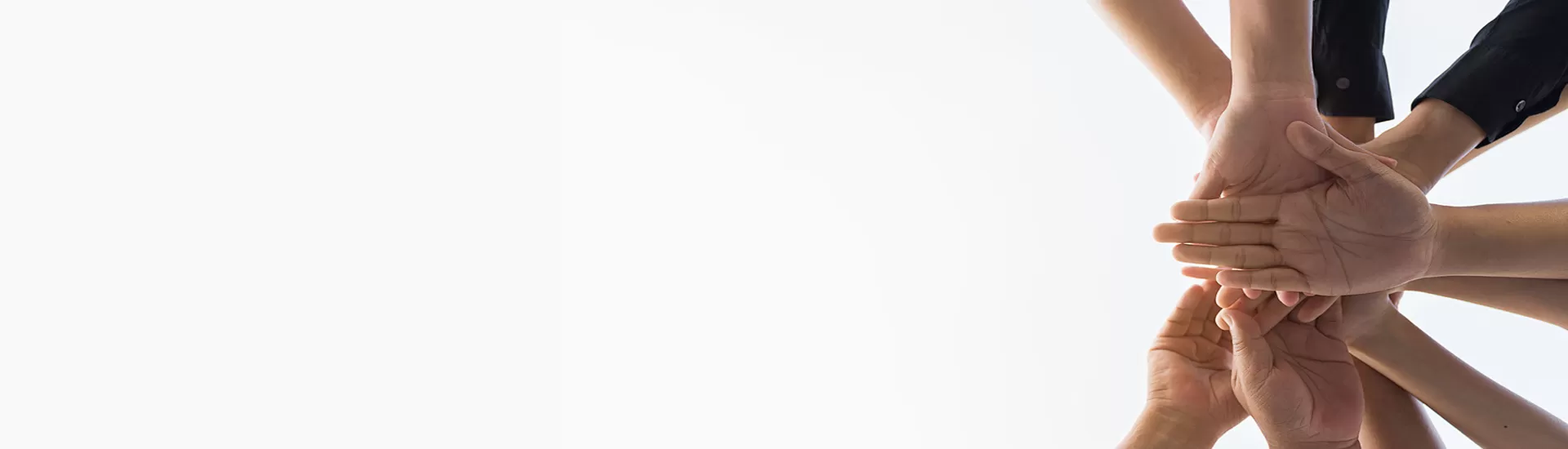 โปรแกรมสนับสนุนหุ้นส่วนและตัวแทนระดับโลก: สร้างอนาคตที่ยั่งยืนด้วย celix