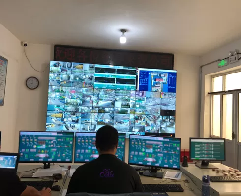 การปฏิบัติตามข้อบังคับ