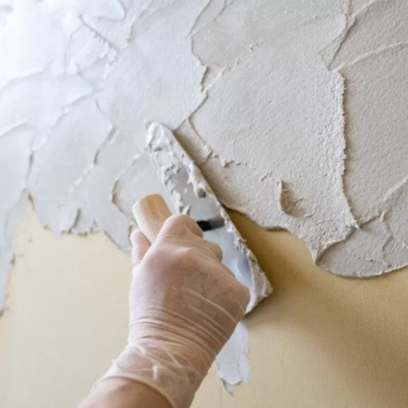 โคลนไดอะตอม