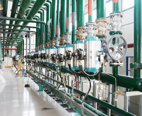 การกำกับดูแลขององค์กรที่จัดตำแหน่ง esg