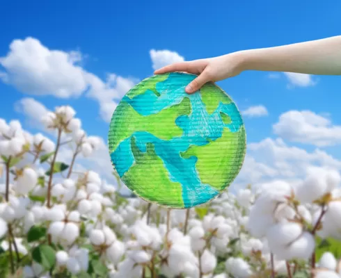 วัตถุดิบสีเขียว