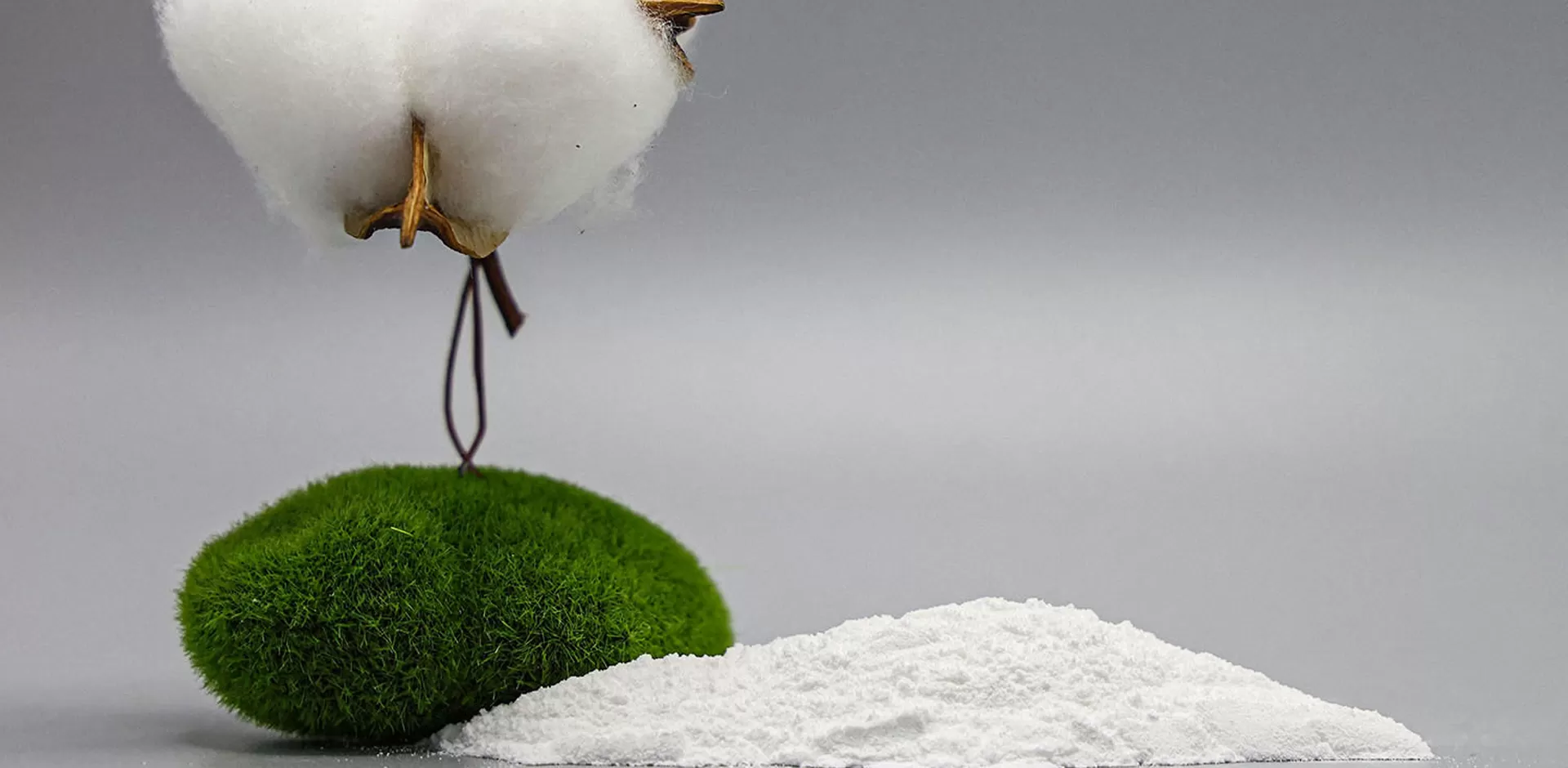 ไฮดรอกซีเอทิลเซลลูโลส (HEC)