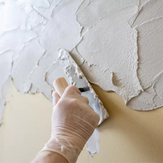 โคลนไดอะตอม