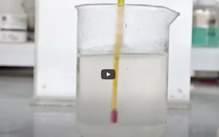 มุมมองที่รวดเร็วของบริษัท Hebei celix Cellulose