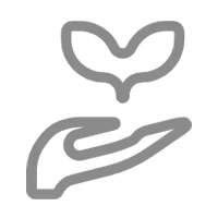 ปลอดภัยและปลอดสารพิษไม่เป็นอันตรายทางสรีรวิทยา