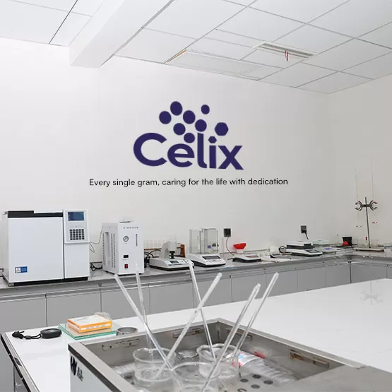 ผู้เชี่ยวชาญทางเทคนิคของ Celix Cellulose กำลังตรวจสอบข้อมูลล็อตการผลิตบนใบรับรองผลการวิเคราะห์ (COA) สำหรับการส่งออก HPMC