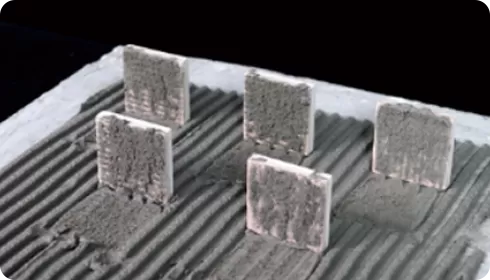 ทดสอบเปิดเวลา