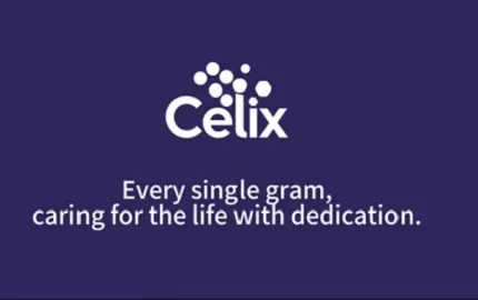 เหตุใดโครงการก่อสร้างทั่วโลกจึงไว้วางใจ Celix